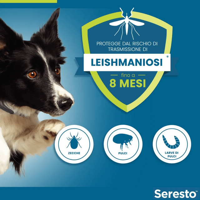 SERESTO COLLARE CANE INFERIORE A 8 KG