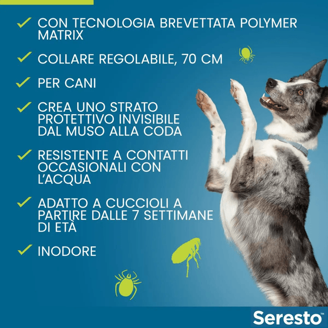 SERESTO COLLARE CANE SUPERIORE A 8 KG