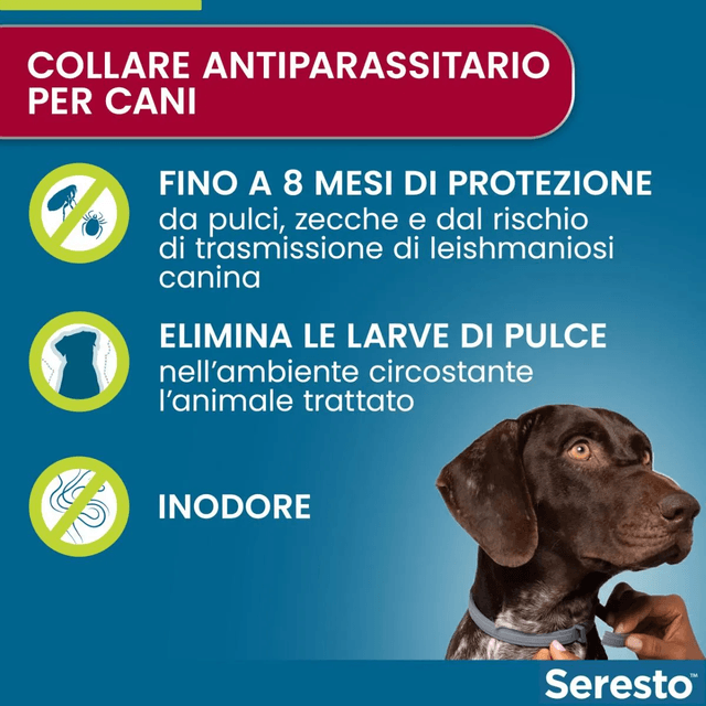 SERESTO COLLARE CANE SUPERIORE A 8 KG