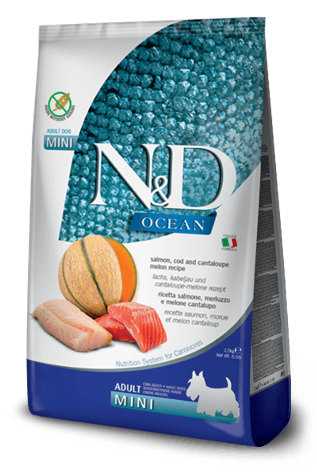 N&amp;D OCEAN DOG MINI ADULT SALMONE/MERLUZZO